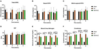 Changes in Cardiac Function During the Development of Uremic Cardiomyopathy and the Effect of Salvianolic Acid B Administration in a Rat Model